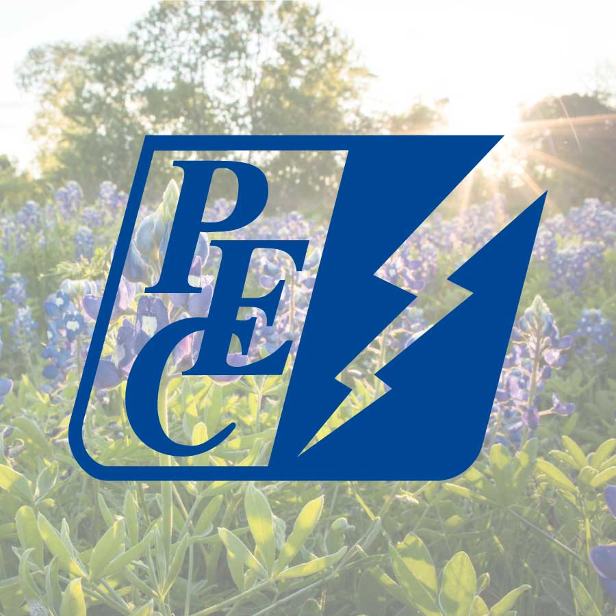 Logo Image for the Pedernales Electric Coop - bluebonnets in the background.
